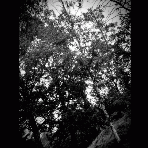 Sciatica (SWE) : Mørkt og Glemt Minne om din Eksistens Sciatica